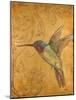 Golden Hummingbird II-Patricia Pinto-Mounted Art Print