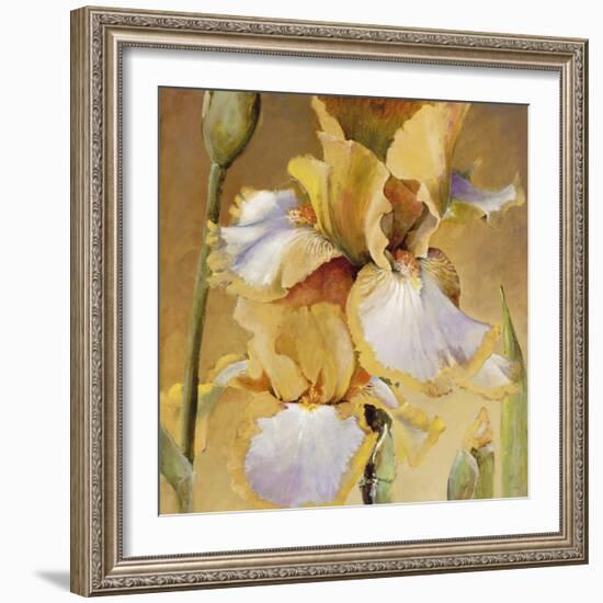 Golden Iris II-Carney-Framed Giclee Print