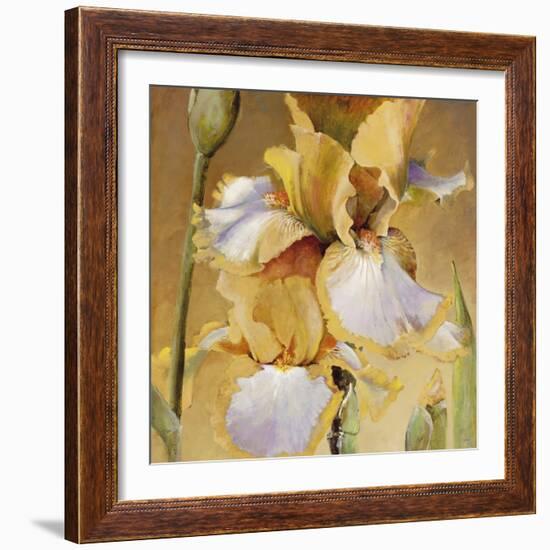 Golden Iris II-Carney-Framed Giclee Print