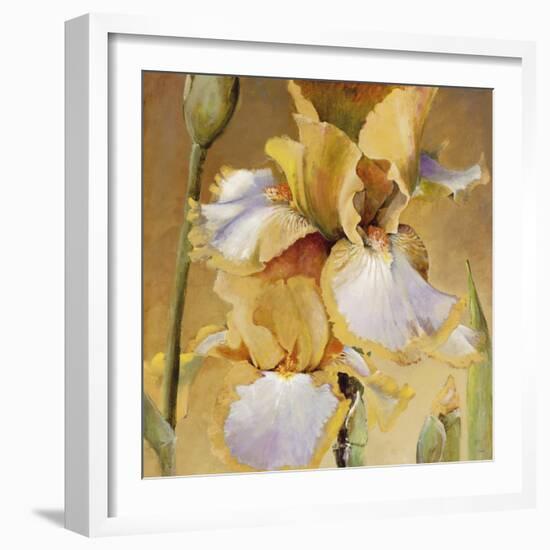 Golden Iris II-Carney-Framed Giclee Print