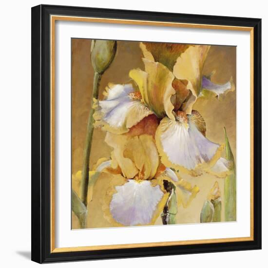 Golden Iris II-Carney-Framed Giclee Print