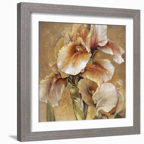 Golden Iris-Carney-Framed Giclee Print