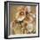 Golden Iris-Carney-Framed Giclee Print