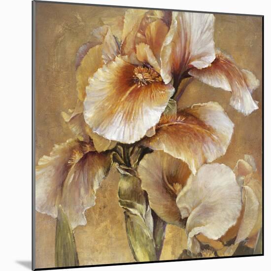 Golden Iris-Carney-Mounted Giclee Print