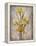 Golden Irises I-Tim O'toole-Framed Stretched Canvas