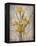 Golden Irises I-Tim O'toole-Framed Stretched Canvas
