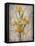 Golden Irises I-Tim O'toole-Framed Stretched Canvas