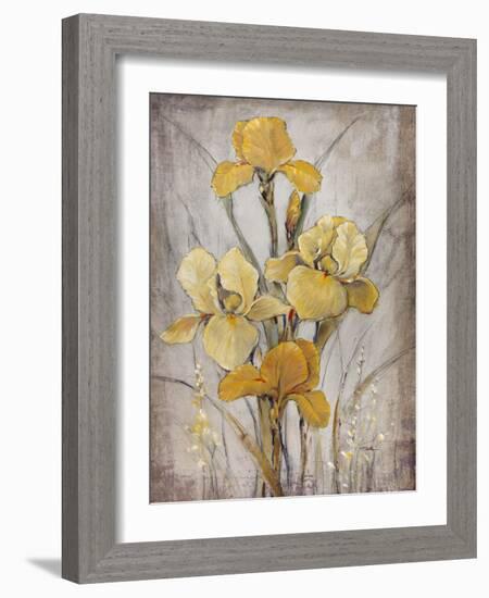 Golden Irises I-Tim O'toole-Framed Premium Giclee Print