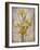 Golden Irises I-Tim O'toole-Framed Premium Giclee Print