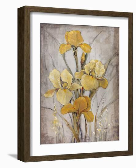 Golden Irises I-Tim O'toole-Framed Premium Giclee Print