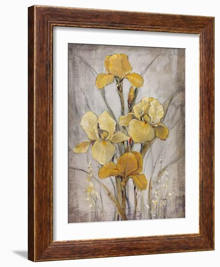 Golden Irises I-Tim O'toole-Framed Premium Giclee Print