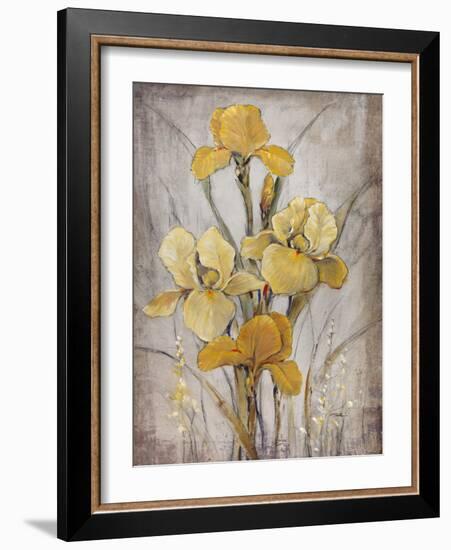 Golden Irises I-Tim O'toole-Framed Premium Giclee Print