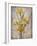 Golden Irises I-Tim O'toole-Framed Premium Giclee Print