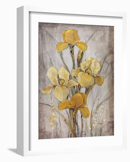 Golden Irises I-Tim O'toole-Framed Premium Giclee Print