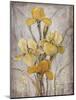 Golden Irises I-Tim O'toole-Mounted Premium Giclee Print
