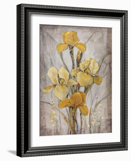 Golden Irises I-Tim O'toole-Framed Premium Giclee Print