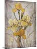 Golden Irises I-Tim O'toole-Mounted Premium Giclee Print