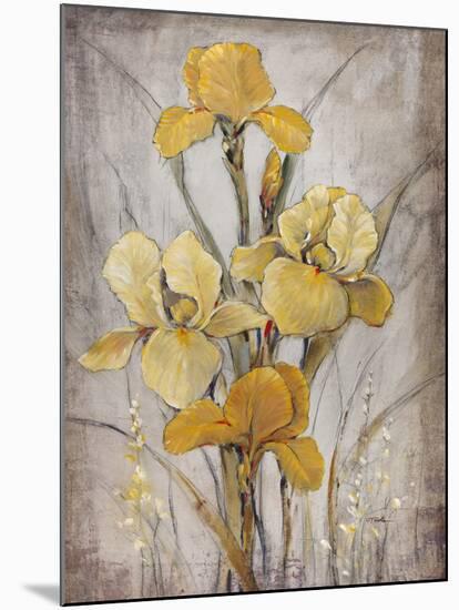 Golden Irises I-Tim O'toole-Mounted Premium Giclee Print