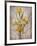 Golden Irises I-Tim O'toole-Framed Art Print