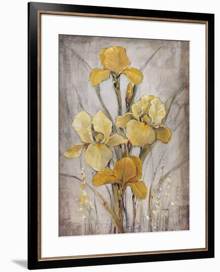 Golden Irises I-Tim O'toole-Framed Art Print