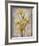 Golden Irises I-Tim O'toole-Framed Art Print