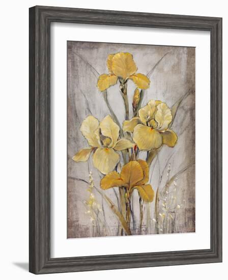 Golden Irises I-Tim O'toole-Framed Art Print