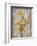 Golden Irises I-Tim O'toole-Framed Art Print