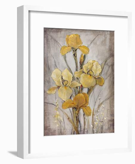 Golden Irises I-Tim O'toole-Framed Art Print