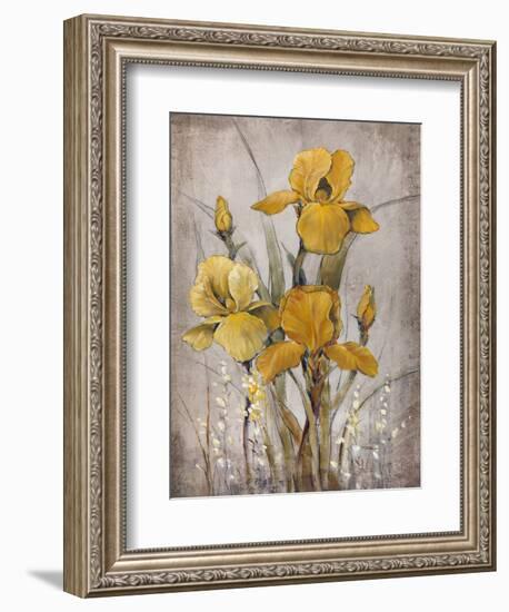 Golden Irises II-Tim O'toole-Framed Premium Giclee Print