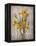 Golden Irises II-Tim O'toole-Framed Stretched Canvas