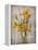 Golden Irises II-Tim O'toole-Framed Stretched Canvas