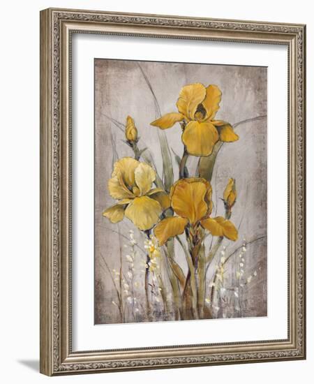 Golden Irises II-Tim O'toole-Framed Art Print