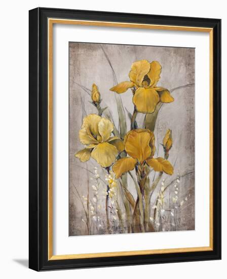 Golden Irises II-Tim O'toole-Framed Art Print