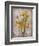 Golden Irises II-Tim O'toole-Framed Art Print