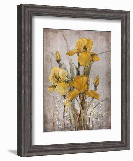 Golden Irises II-Tim O'toole-Framed Art Print
