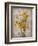 Golden Irises II-Tim O'toole-Framed Art Print