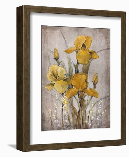 Golden Irises II-Tim O'toole-Framed Art Print