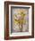 Golden Irises II-Tim O'toole-Framed Art Print