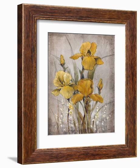 Golden Irises II-Tim O'toole-Framed Art Print