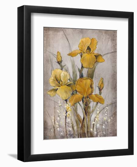 Golden Irises II-Tim O'toole-Framed Art Print