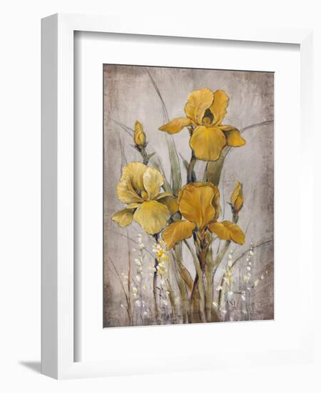 Golden Irises II-Tim O'toole-Framed Art Print