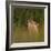 Golden jackal (Canis aureus) howling in grassland. Danube Delta, Romania, May-Loic Poidevin-Framed Photographic Print