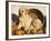 Golden Labrador Retriever Puppies, USA-Lynn M. Stone-Framed Photographic Print