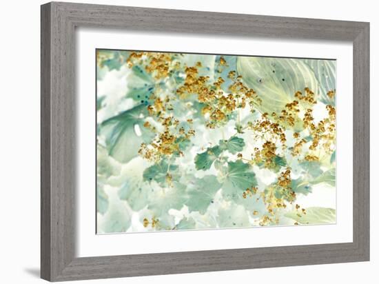 Golden Lady’s Mantle-Judy Stalus-Framed Photographic Print