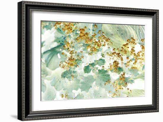 Golden Lady’s Mantle-Judy Stalus-Framed Photographic Print