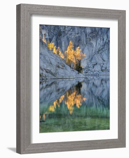 Golden Larch Trees, Enchantment Lakes, Alpine Lakes Wilderness, Washington, Usa-Jamie & Judy Wild-Framed Photographic Print