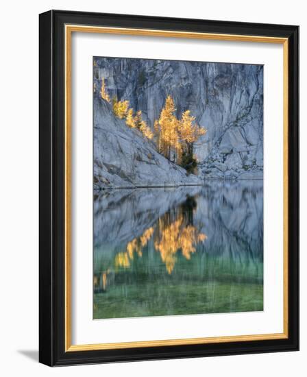 Golden Larch Trees, Enchantment Lakes, Alpine Lakes Wilderness, Washington, Usa-Jamie & Judy Wild-Framed Photographic Print