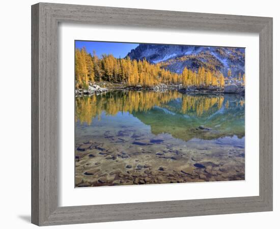 Golden Larch Trees, Enchantment Lakes, Alpine Lakes Wilderness, Washington, Usa-Jamie & Judy Wild-Framed Photographic Print