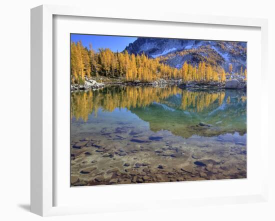 Golden Larch Trees, Enchantment Lakes, Alpine Lakes Wilderness, Washington, Usa-Jamie & Judy Wild-Framed Photographic Print