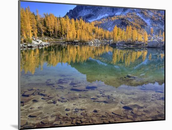 Golden Larch Trees, Enchantment Lakes, Alpine Lakes Wilderness, Washington, Usa-Jamie & Judy Wild-Mounted Photographic Print